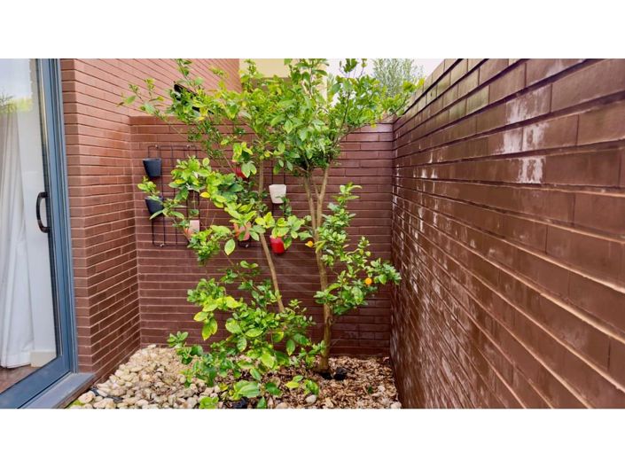 Image No.30-1 Bed Apartment for sale