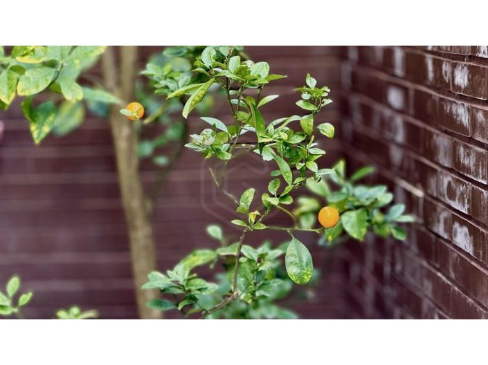 Image No.35-1 Bed Apartment for sale