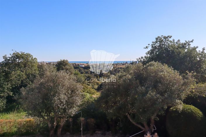 Image No.35-3 Bed House for sale