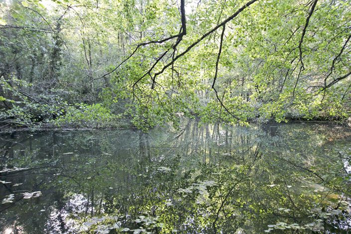 Image No.4-Propriété de 9 chambres à vendre à Bordeaux