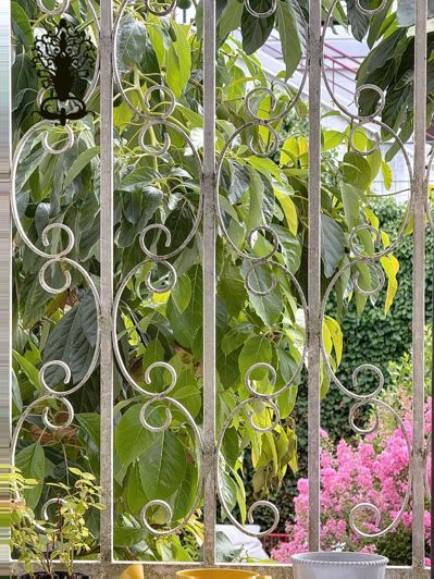 Image No.5-5 Bed House for sale