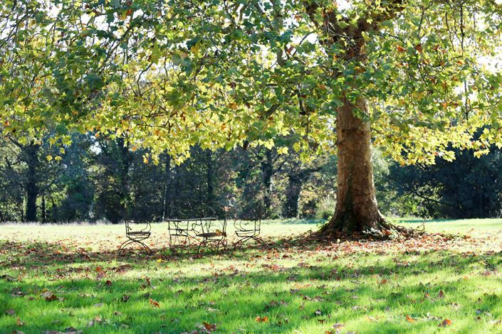 Image No.8-Propriété de 8 chambres à vendre à Bordeaux