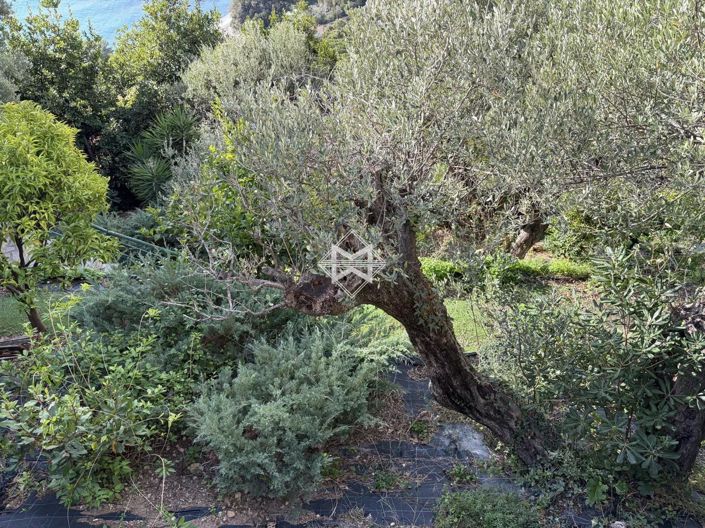 Image No.14-Appartement à vendre à Roquebrune-Cap-Martin