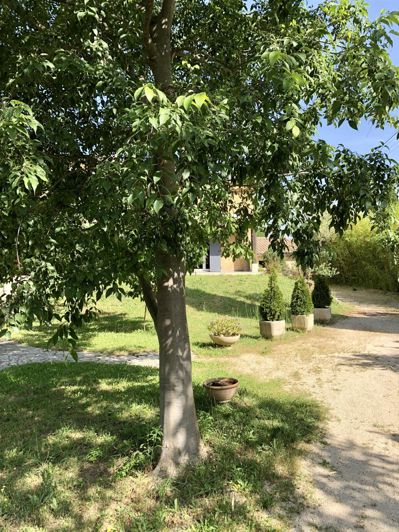 Image No.45-Maison de 4 chambres à vendre à Orange