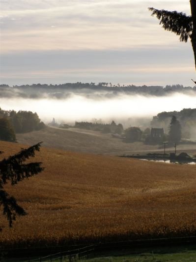 Image No.17-House for sale