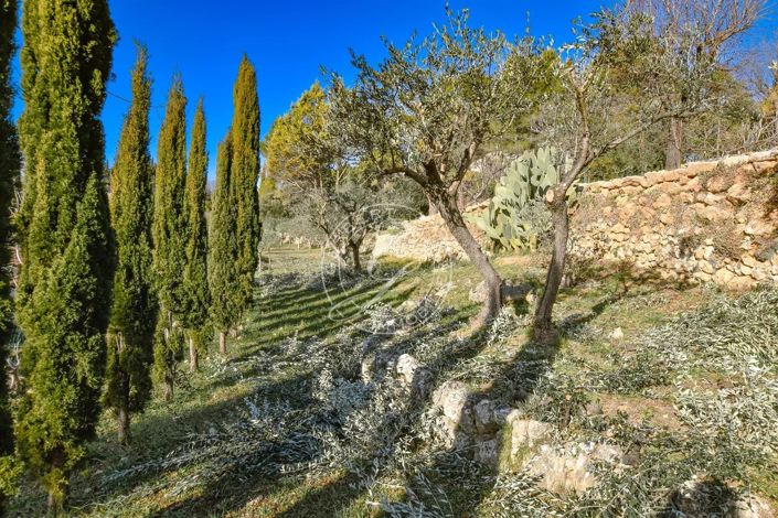 Image No.34-4 Bed House for sale