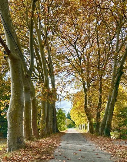 Image No.9-7 Bed House for sale