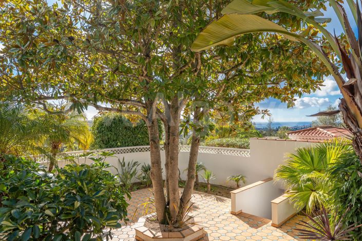 Image No.41-5 Bed House for sale