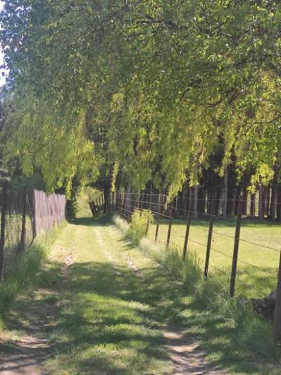 Image No.6-Maison de 4 chambres à vendre à Veynes