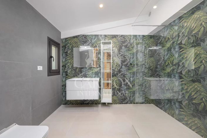 Image No.28-5 Bed House for sale