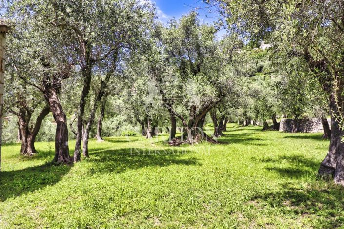 Image No.21-Maison de 9 chambres à vendre à Cabris