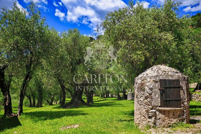 Image No.52-Maison de 9 chambres à vendre à Cabris