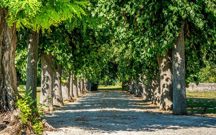 Image No.3-20 Bed Property for sale