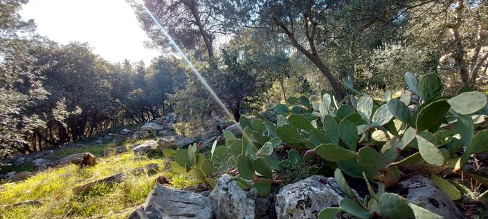 Image No.15-Maison de 3 chambres à vendre à Figanières