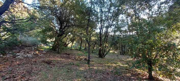 Image No.9-Maison de 3 chambres à vendre à Figanières