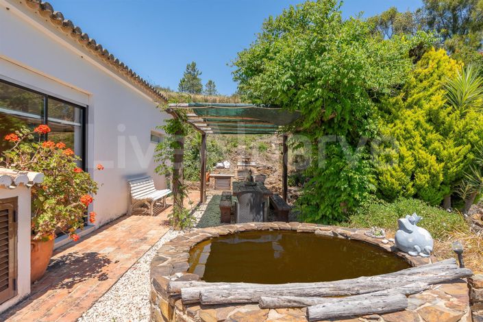 Image No.41-3 Bed House for sale