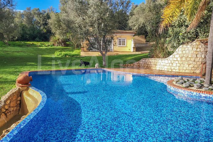 Image No.13-6 Bed House for sale