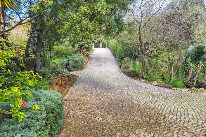 Image No.7-6 Bed House for sale