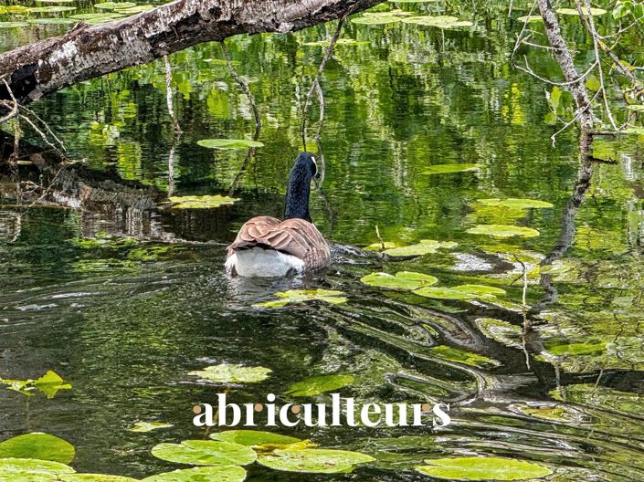 Image No.23-14 Bed House for sale