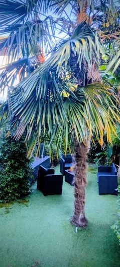 Image No.10-3 Bed House for sale