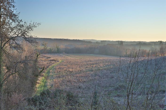 Image No.4-Maison de 5 chambres à vendre à Saint-Emilion