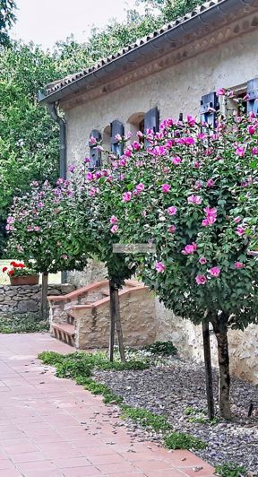 Image No.2-Maison de 4 chambres à vendre à Castéra-Verduzan