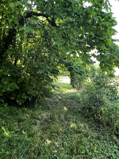 Image No.17-Maison de 5 chambres à vendre à Matha