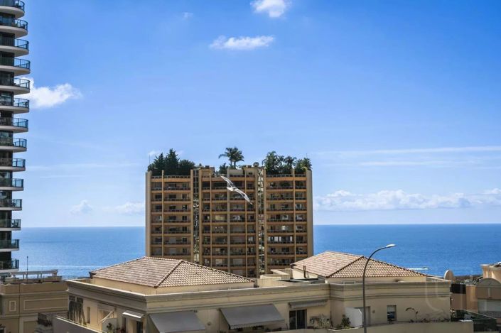 Image No.10-Maison de 5 chambres à vendre à Beausoleil