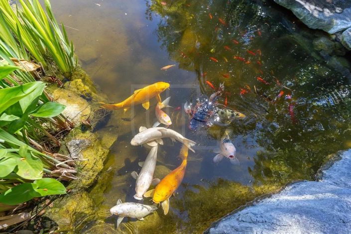 Image No.56-Appartement de 3 chambres à vendre à Antibes