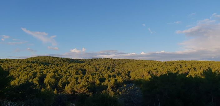 Image No.4-5 Bed House for sale