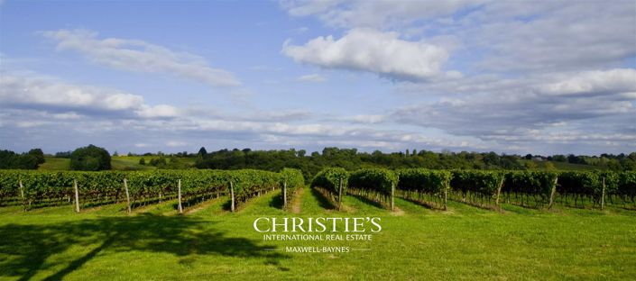 Image No.3-8 Bed House for sale