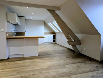 1 - Orléans, Apartment