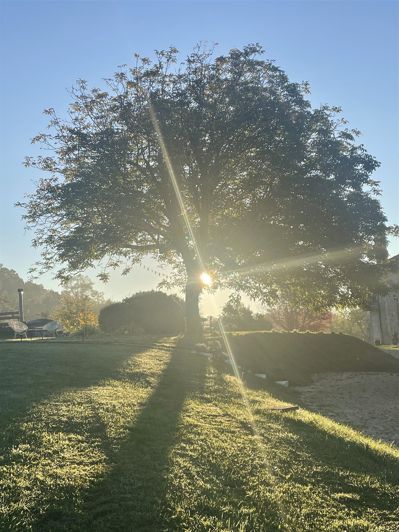 Image No.17-6 Bed House for sale