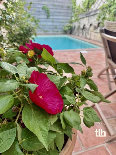 Image No.4-Maison de 5 chambres à vendre à Saint-Nazaire-de-Pézan