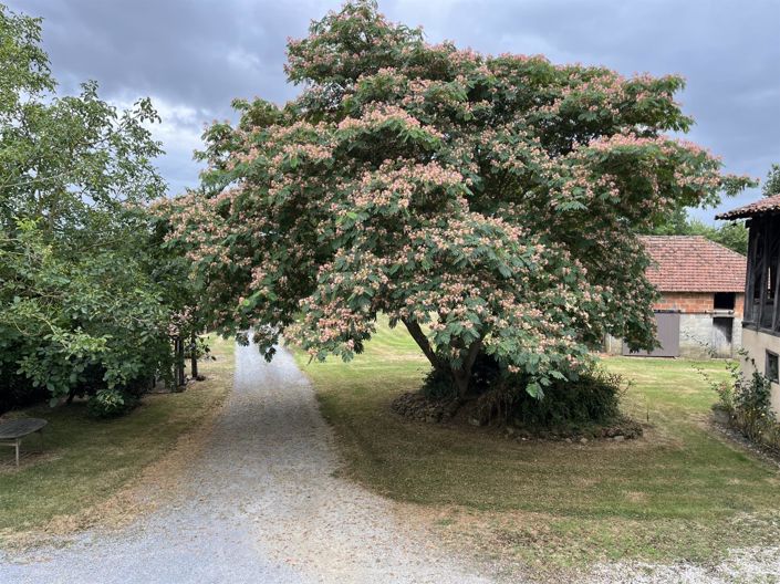 Image No.13-3 Bed House for sale