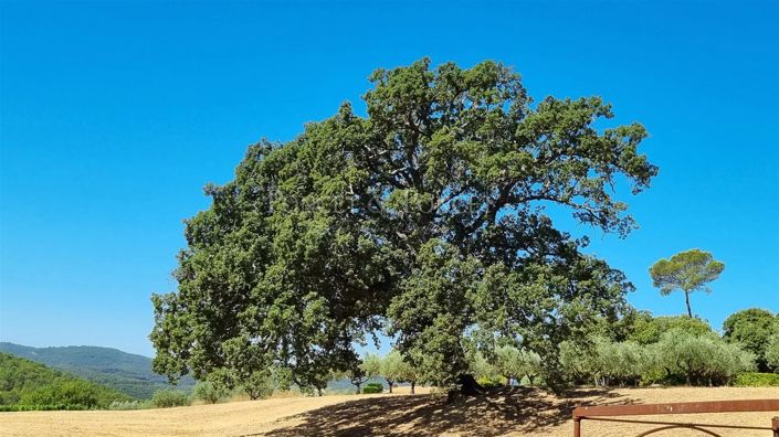 Image No.10-House for sale