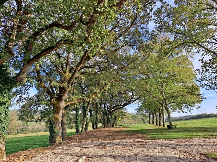 Image No.28-7 Bed Property for sale