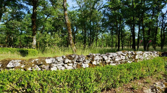 Image No.14-3 Bed House for sale