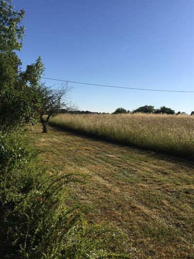 Image No.9-3 Bed House for sale