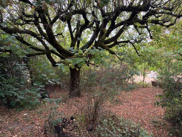 Image No.15-2 Bed House for sale