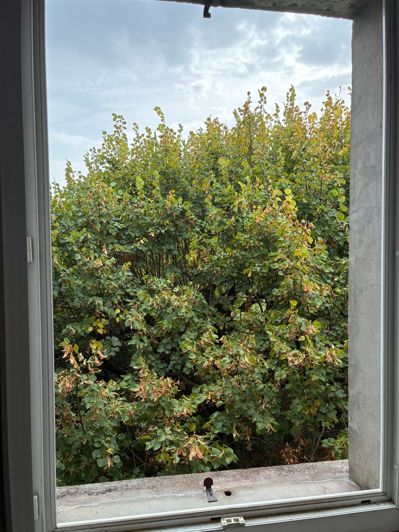 Image No.9-2 Bed House for sale