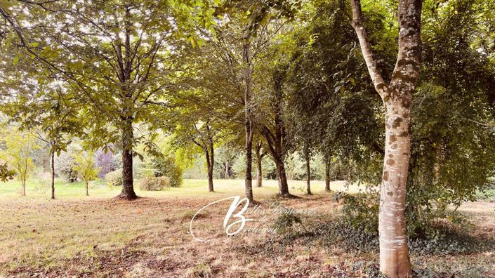 Image No.16-4 Bed House for sale