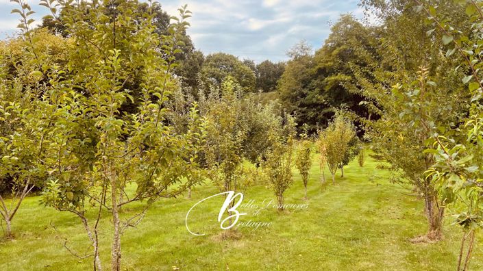 Image No.20-4 Bed House for sale