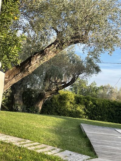 Image No.39-7 Bed House for sale