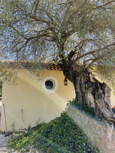 Image No.41-7 Bed House for sale