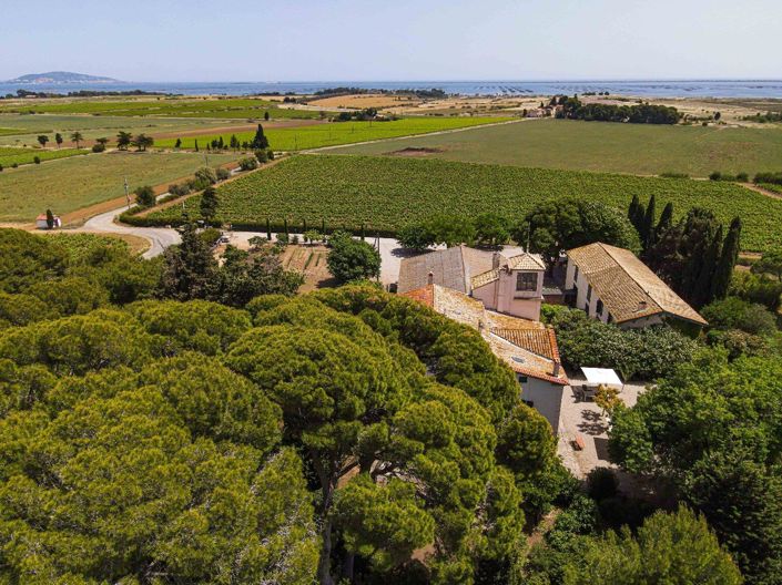 Image No.3-Maison à vendre à Sète