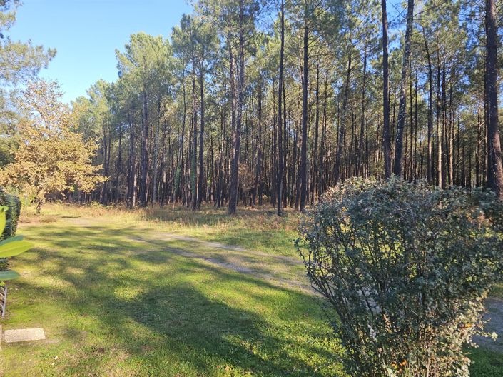 Image No.2-Maison de 2 chambres à vendre à Lit-et-Mixe