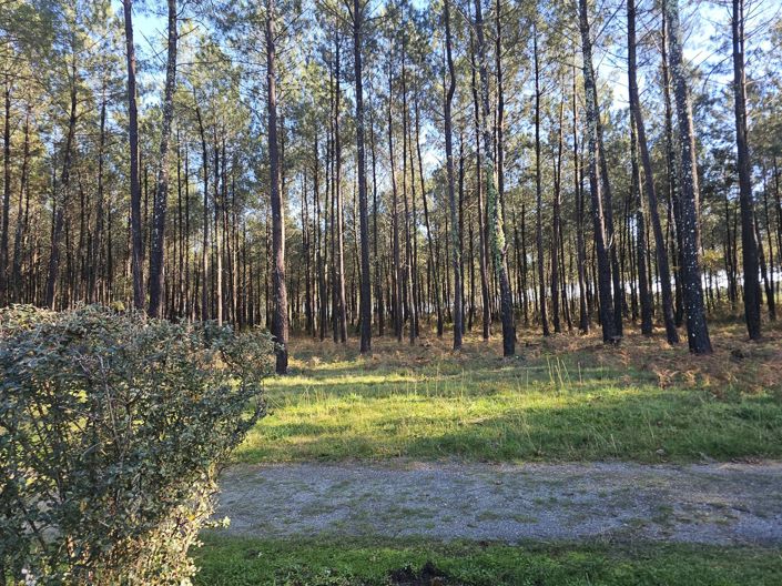 Image No.7-Maison de 2 chambres à vendre à Lit-et-Mixe