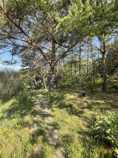 Image No.38-Maison de 6 chambres à vendre à Mollans-sur-Ouvèze