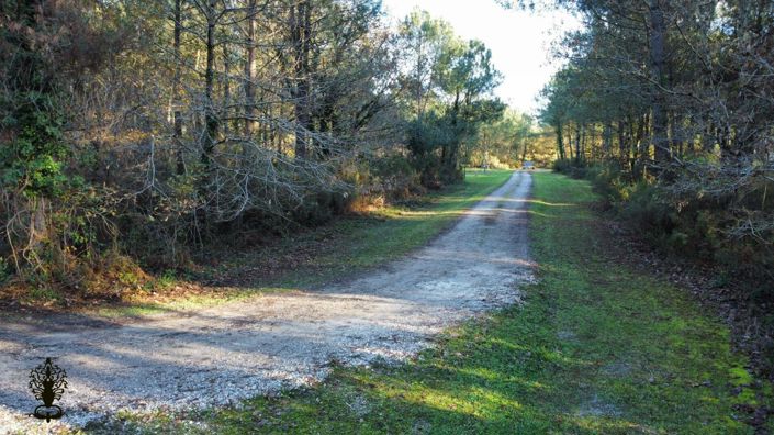 Image No.12-Maison de 4 chambres à vendre à Saint-Laurent-Médoc